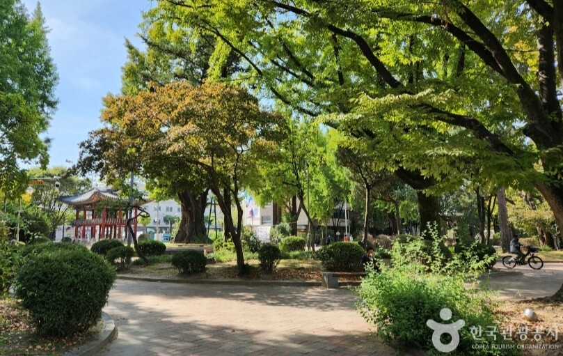 청주 가볼만한곳 베스트 10