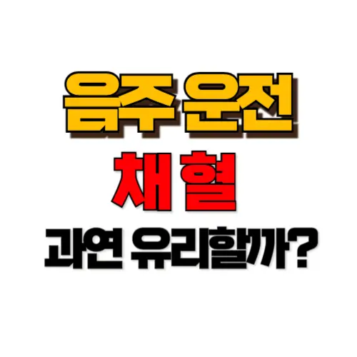 음주운전 채혈 썸네일