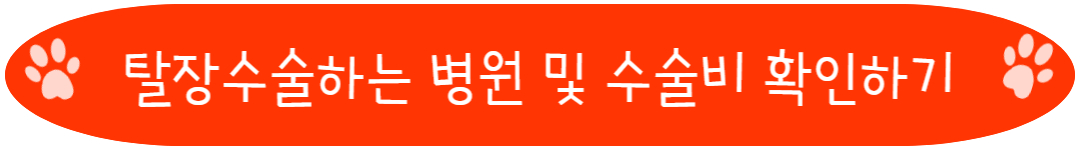 탈장수술하는 병원 및 수술비 확인