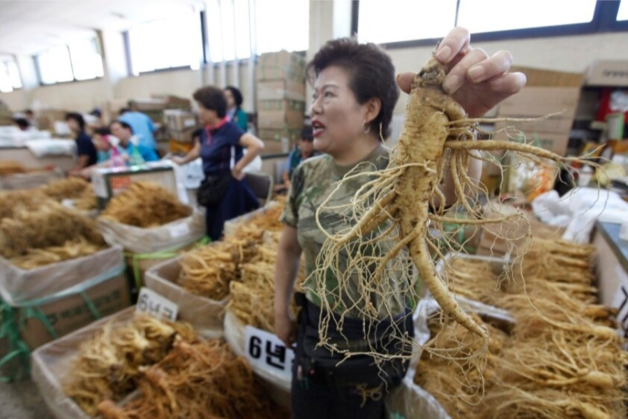 금산 인삼축제 주변 관광지 추천