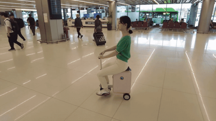 에어휠 전동캐리어