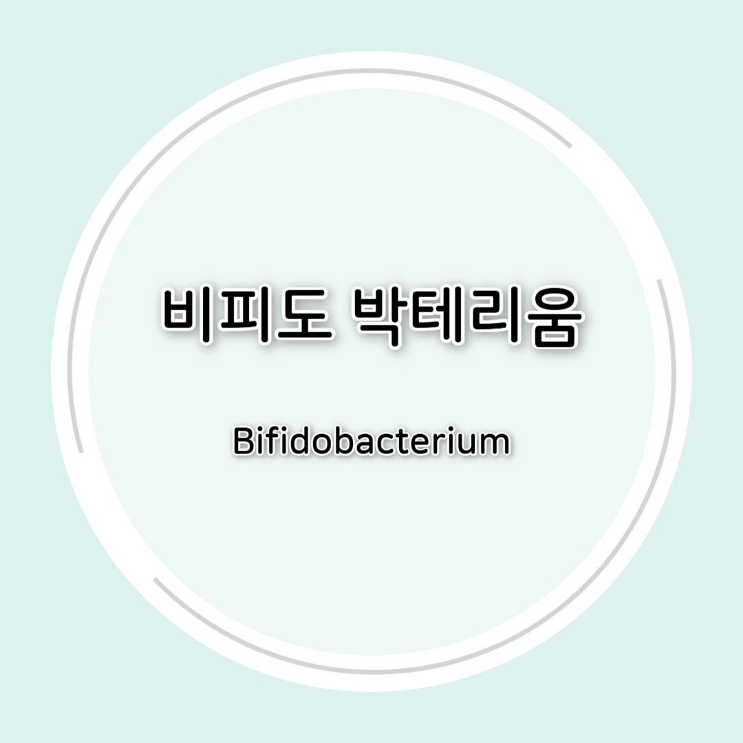 비피도 박테리움 균주별 핵심 정의와 맞춤형 추천 가이드