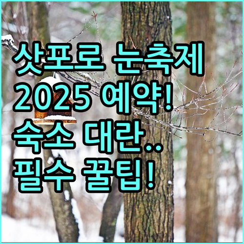 삿포로 눈축제 2025년 성공 예약 ..