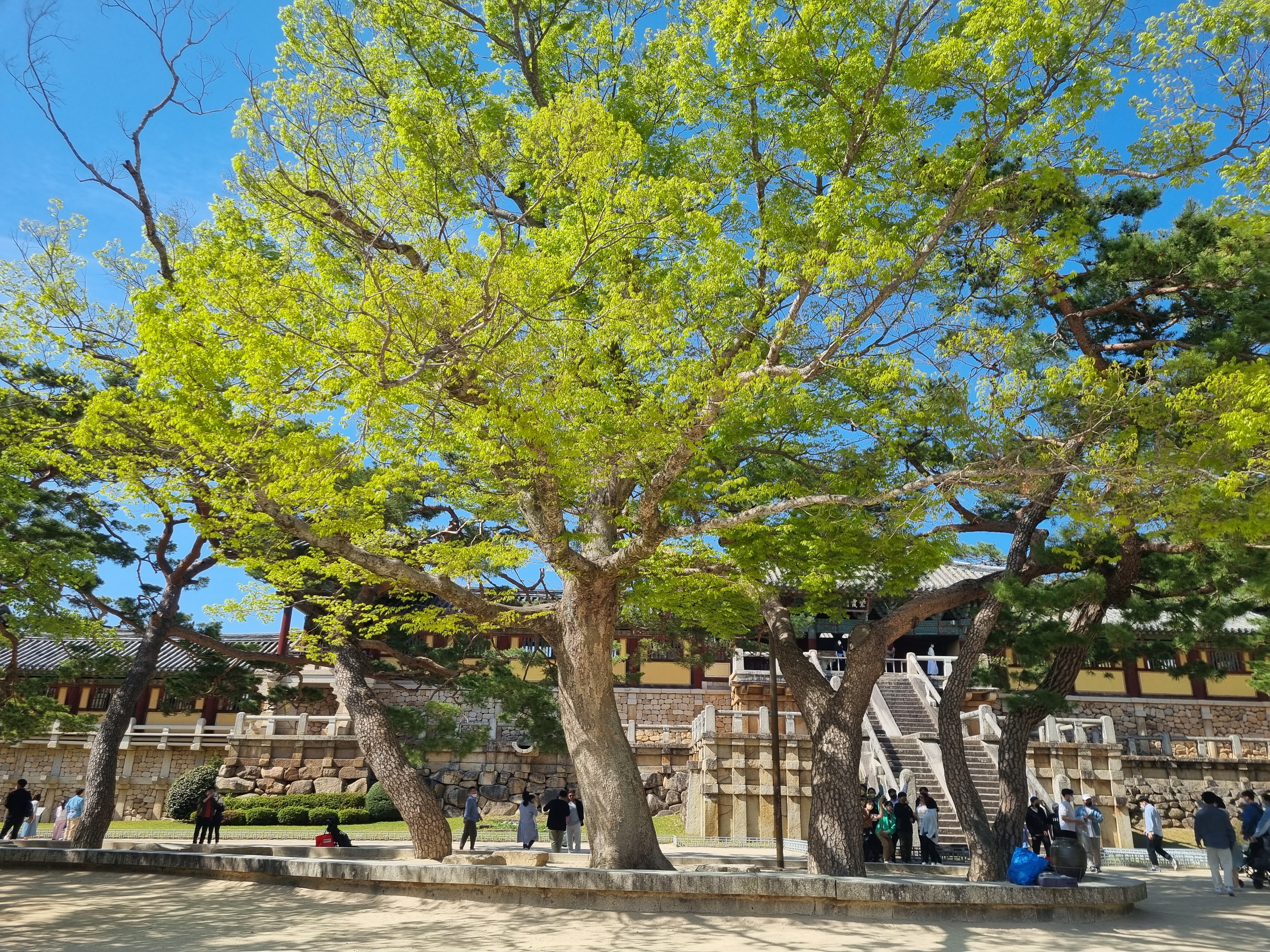 경주 불국사