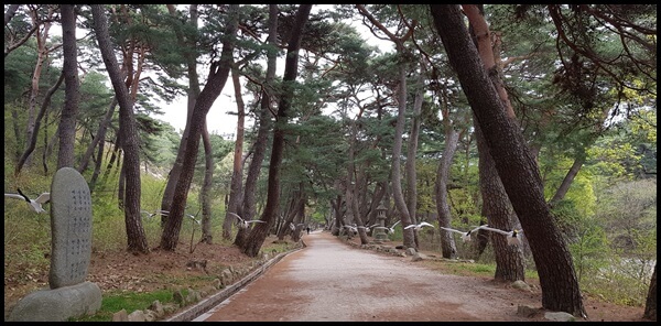 무풍한송로 산책길