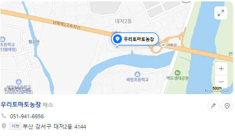 6시내고향 대저토마토 대처짭짜리토마토 대처찰토마토 가격 및 구매방법 부산우리토마토농장