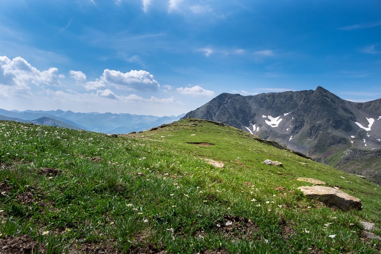 2026년 장애인 일자리 사업 참여자 모집 안내