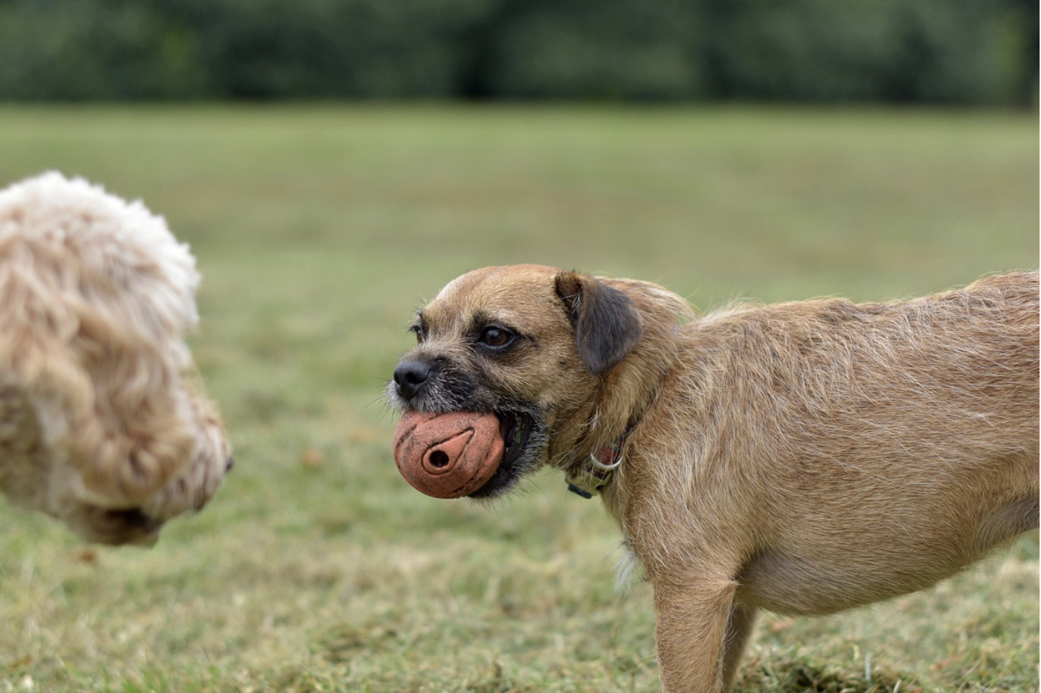 클러스터 산업집적과 경쟁력 강화