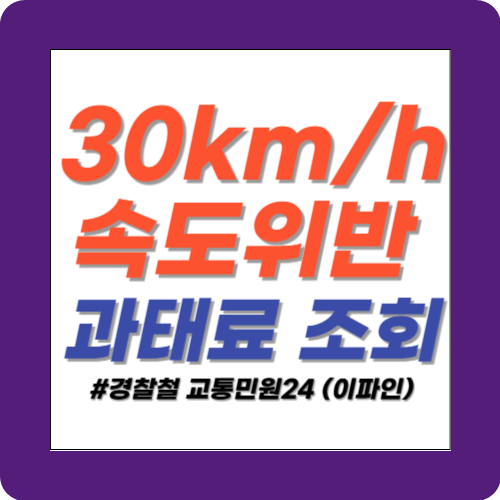 30km/h 속도위반 과태료 조회 썸네일