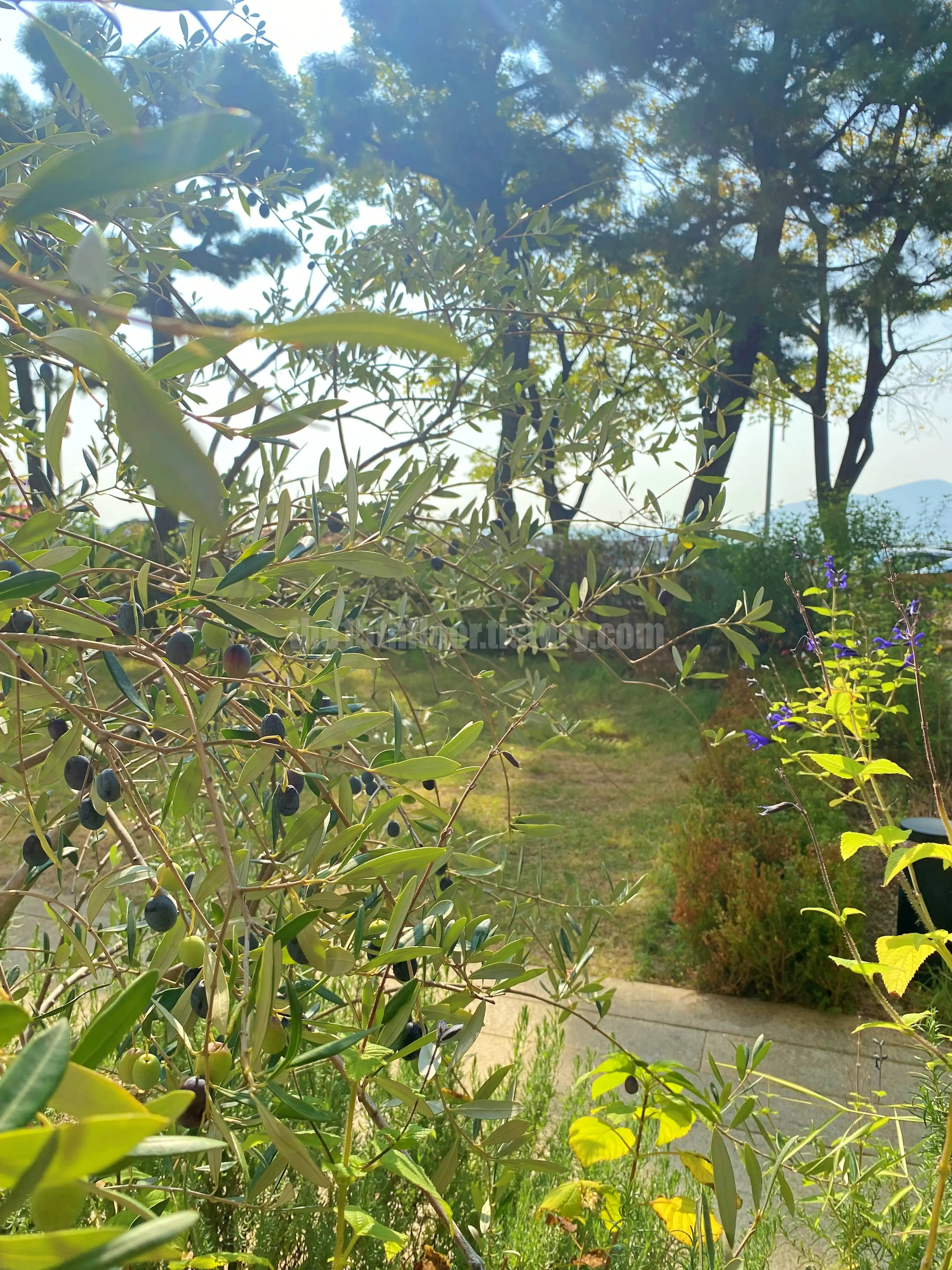 부산 해운대구 &amp;#39;모모스커피&amp;#39; 마린시티점 (외부)