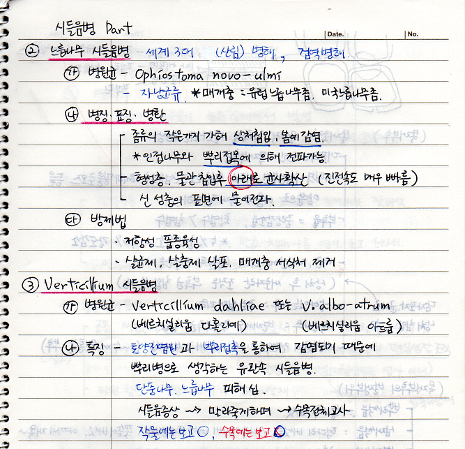 느릅나무 시들음병&#44; Verticillium 시들음병