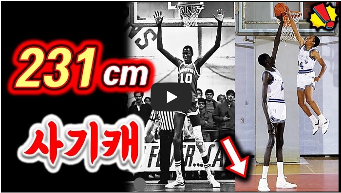 농구 유튜버 순위 TOP 10 10