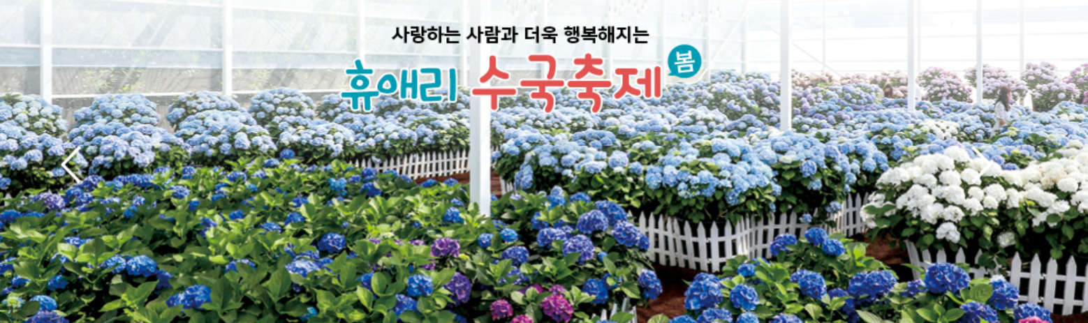 휴애리 자연생활공원의 봄 관련 사진