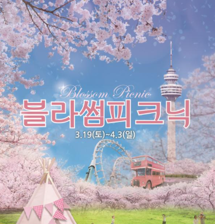 벚꽃 축제