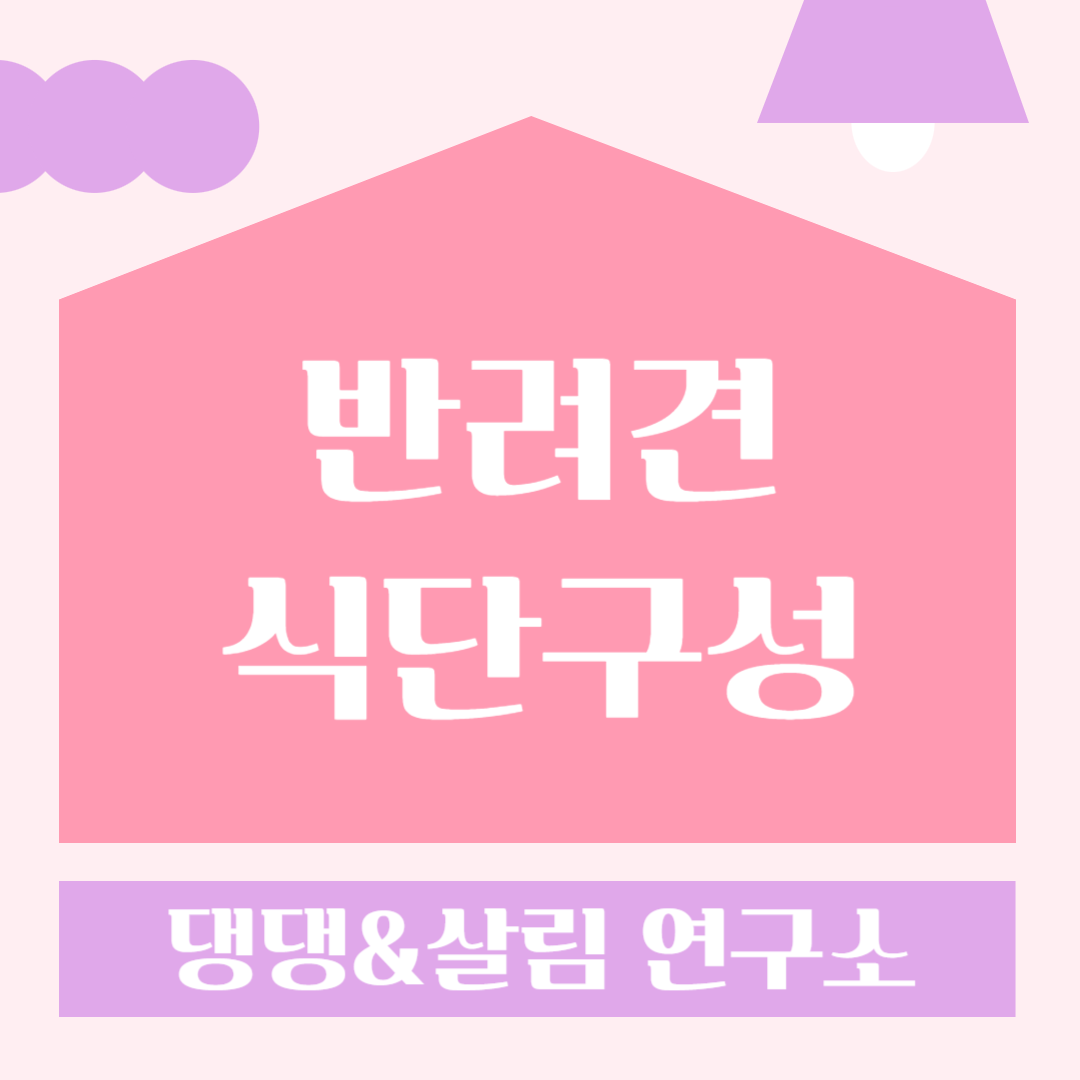 반려견식단