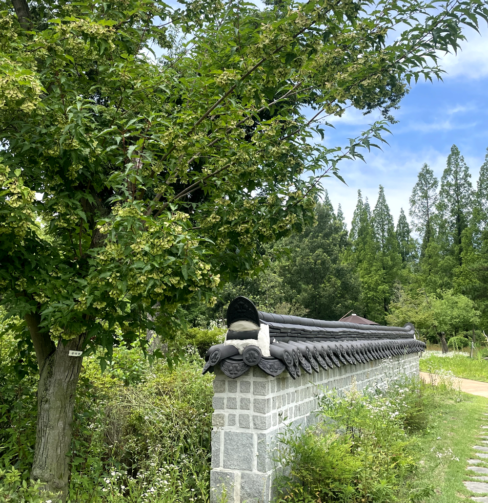 추석연휴경주여행