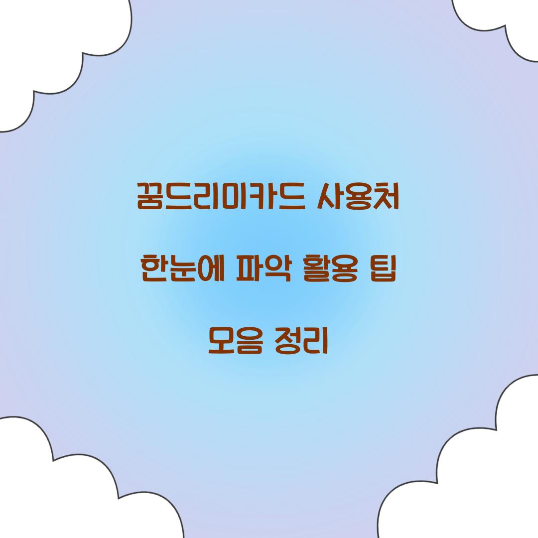 꿈드리미카드 사용처