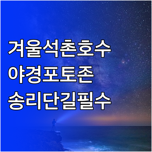 겨울 감성 가득한 석촌호수 야경과 송..