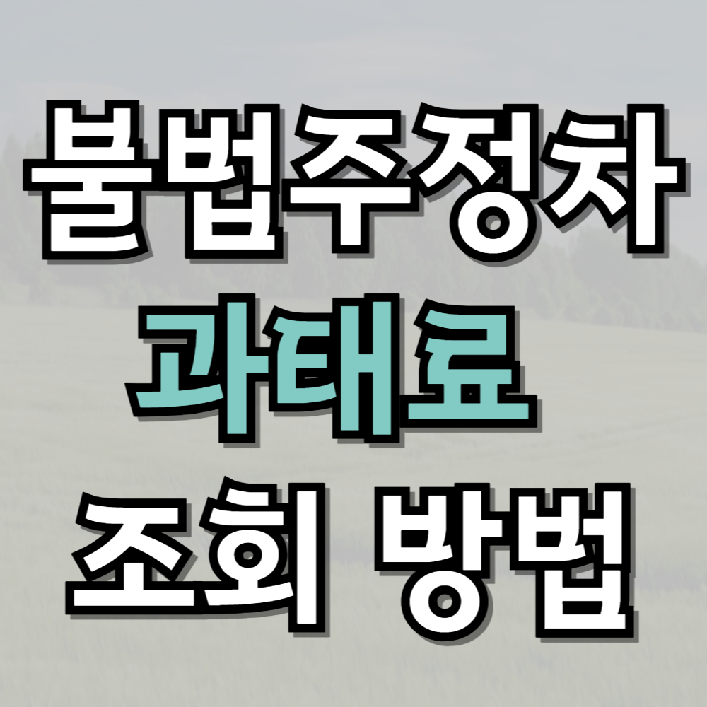 불법주정차 과태료 조회 방법과 절차