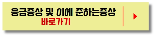응급증상_및_이에준하는_증상_바로가기버튼