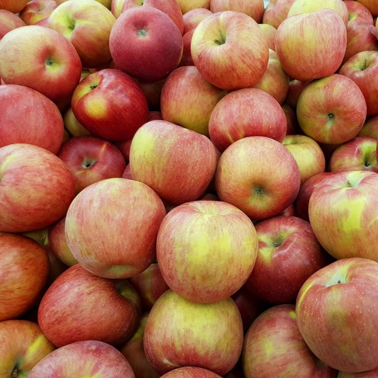 당뇨에 안좋은 음식&amp;#44; 좋은 음식 TOP5 모르면 큰일납니다.