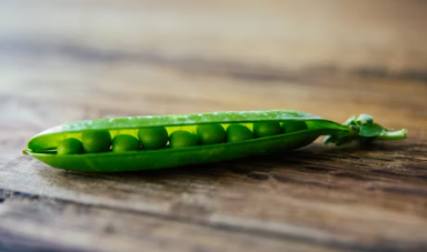 용종제거 보험청구 서류 실비보험 용종제거후 식사 음주 음식