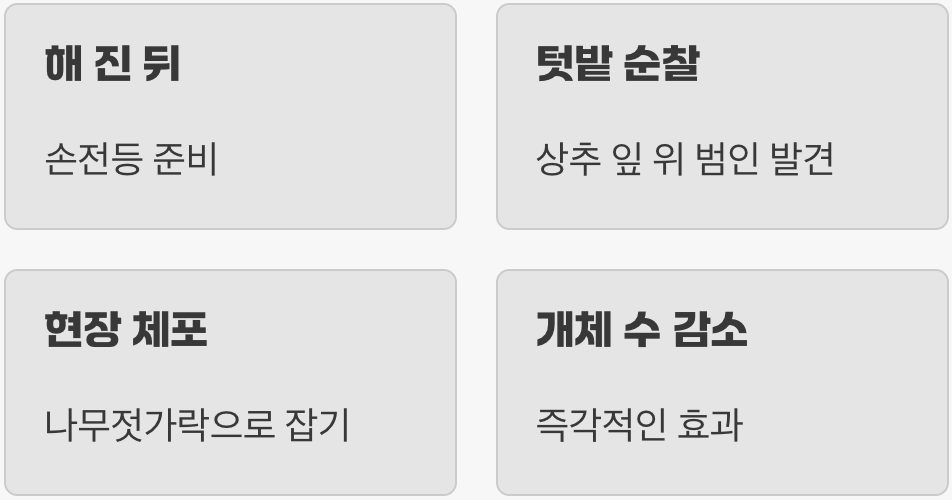 꿀팁 5. 가장 원시적인 방법&amp;#44; &amp;#39;야간 순찰&amp;#39;