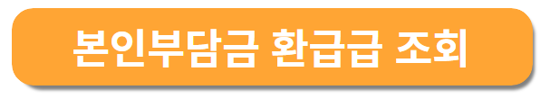 본인부담금 조회 버튼