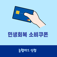 민생소비쿠폰농협체크카드14