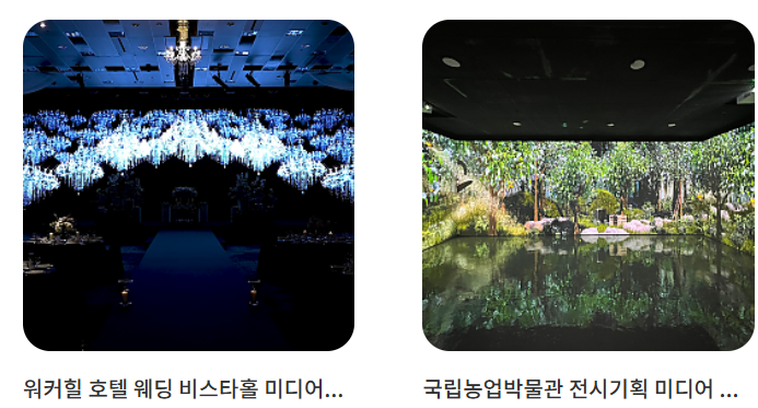 벡트 공모주