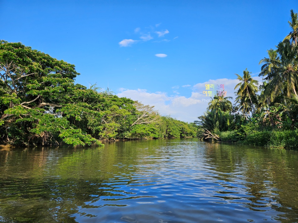코타키나발루 나나문 반딧불 투어 원숭이 리버크루즈 후기