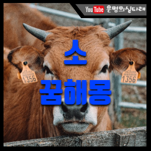 썸네일 사진