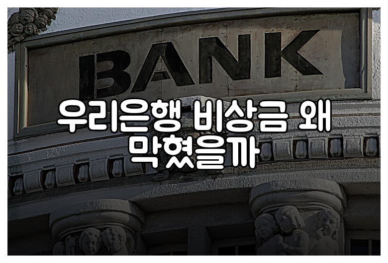 우리은행 비상금 왜 막혔을까