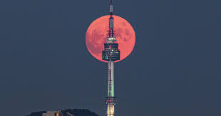 서울달 예약 및 이용방법