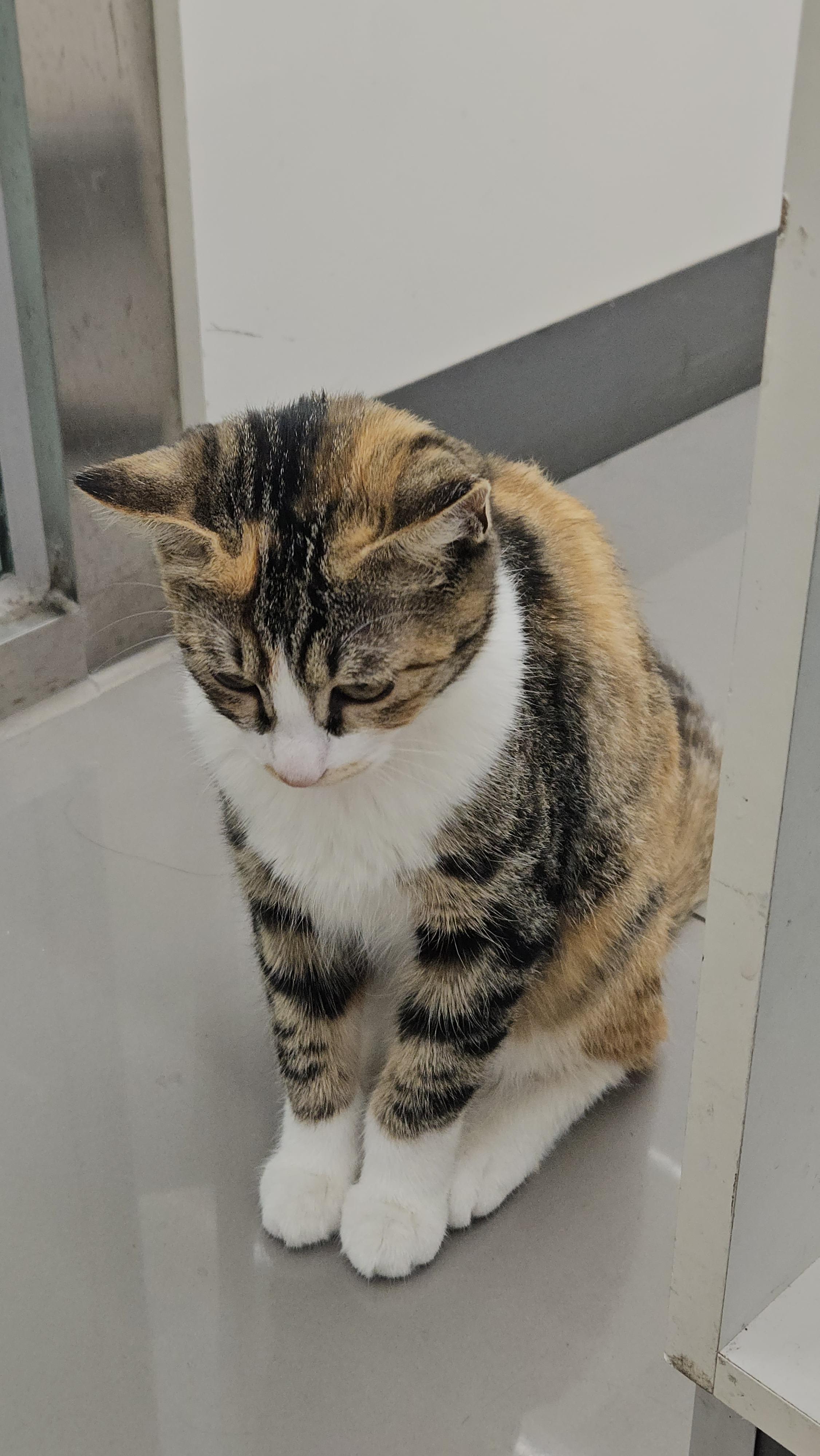 🧩 치매환자 가족이 직접 알려주는 요양병원 등급&middot;비용 완벽 가이드