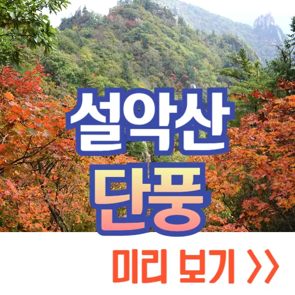 설악산 단풍, 절정 시기