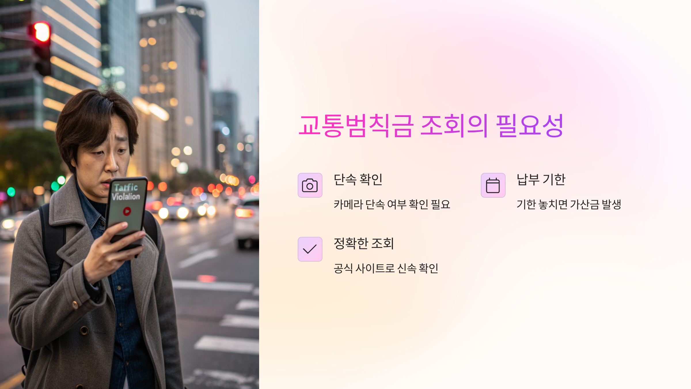 교통범칙금 조회의 필요성