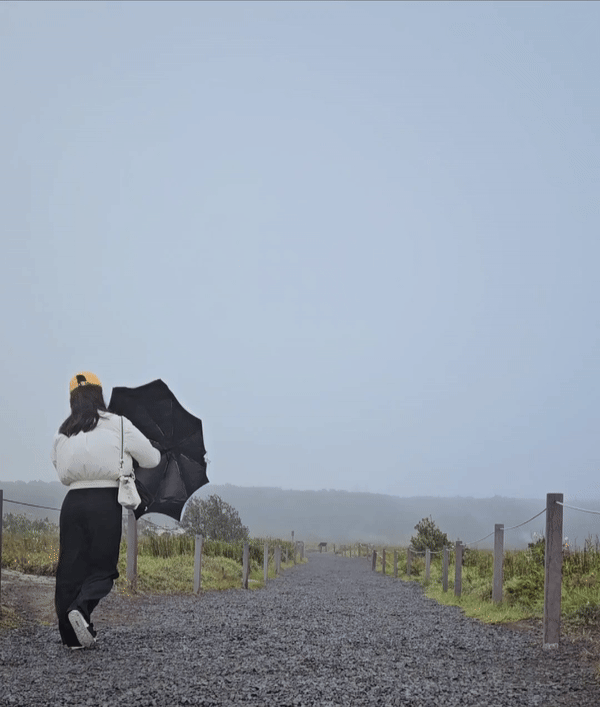 하와이 스티밍 블러프 전망대