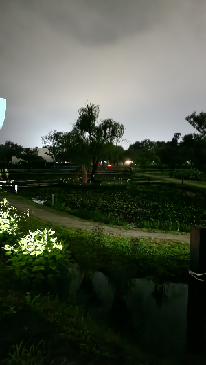 부여궁남지-미리가본장소