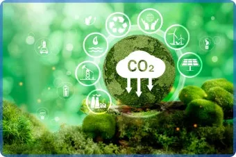 산림기능사 전망_26