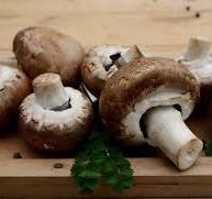 귀에 좋은 음식