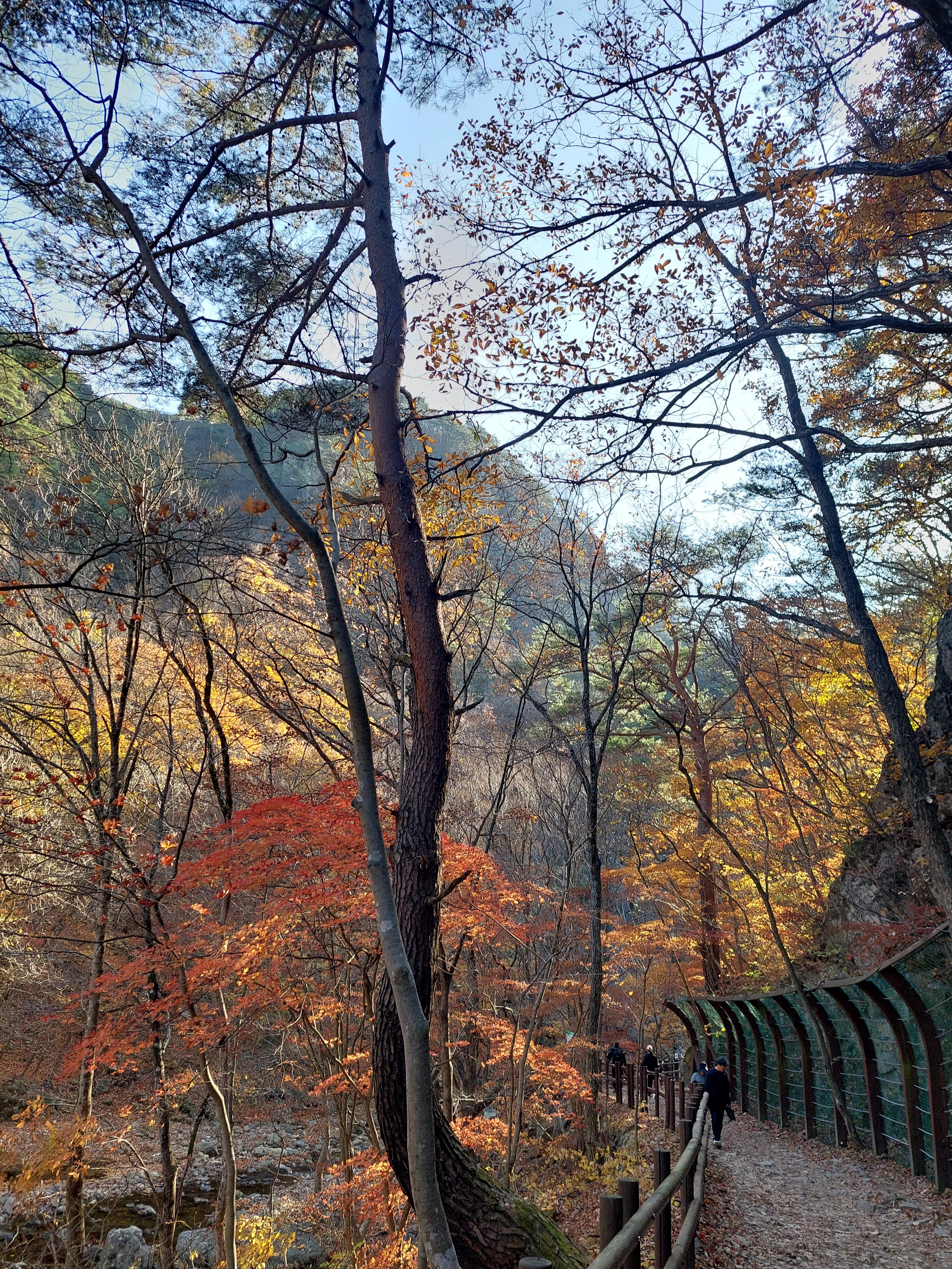 주왕산