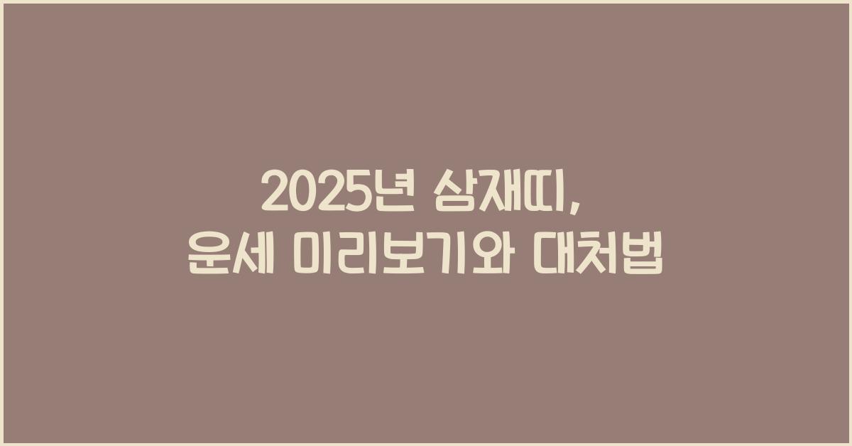 2025년 삼재띠