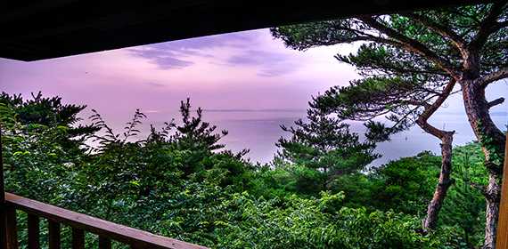 제부꼬리길 데크에서 나무 사이로 바다가 보이는 사진