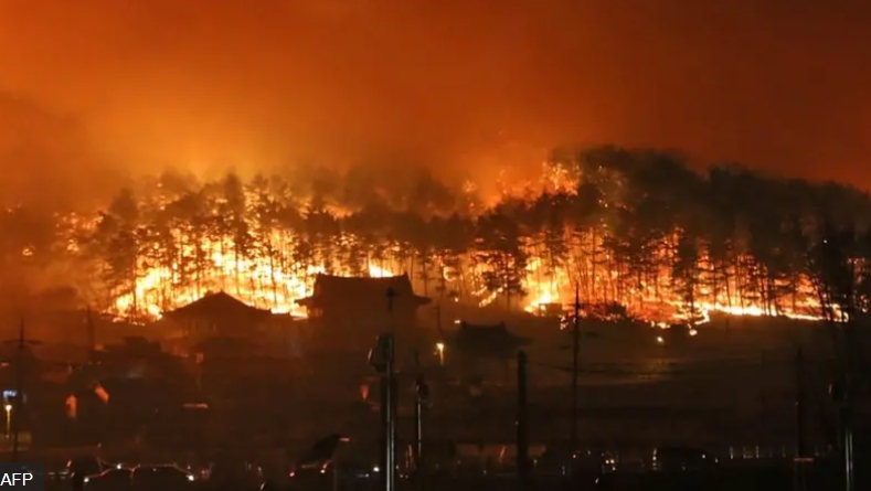 강원도 동해안 지역의 산불 화재