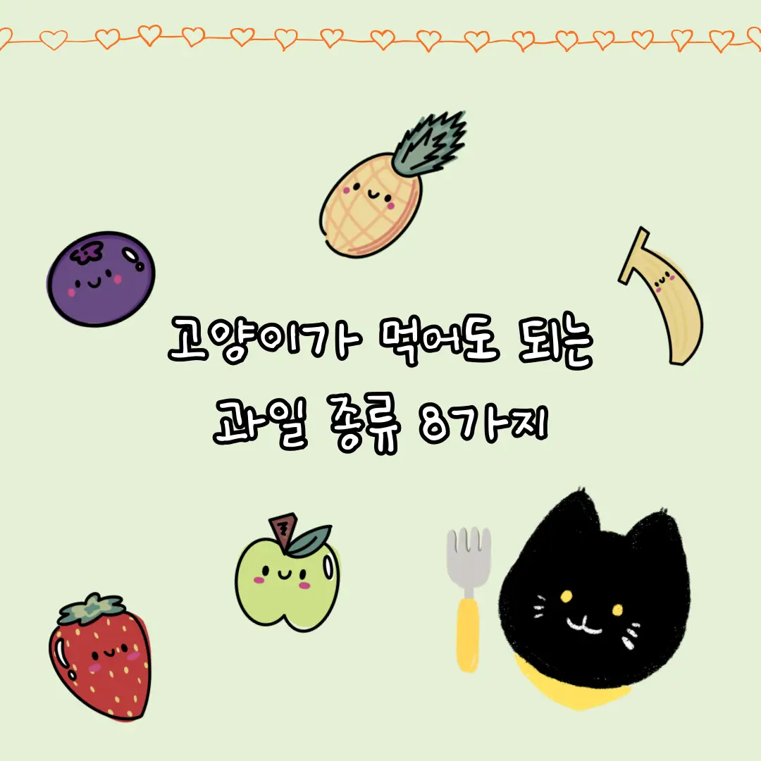 고양이가 먹어도 되는 과일 종류 8가지