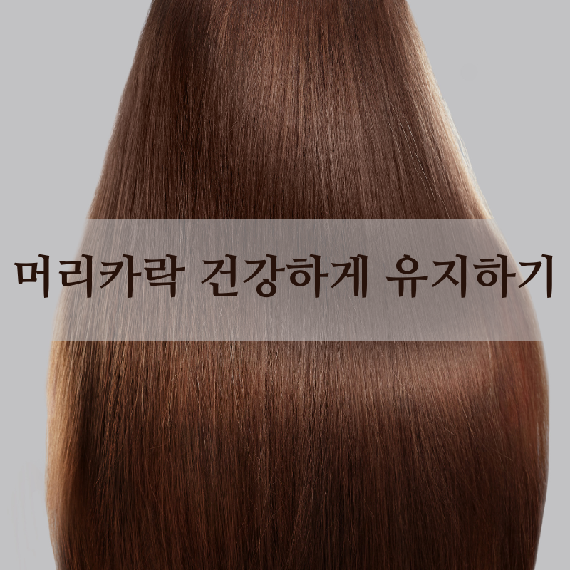 머리카락 건강하게 유지하며 영양 주는 방법 모발 건강