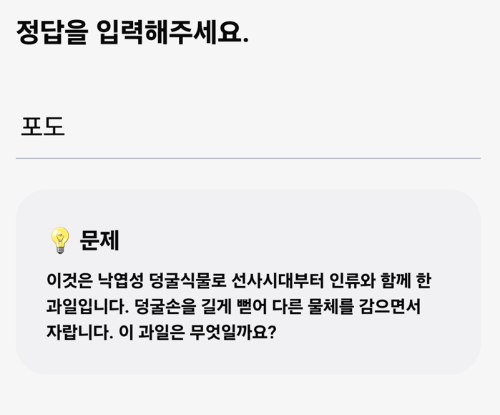7월31일 포도
