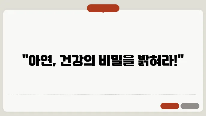 아연 음식