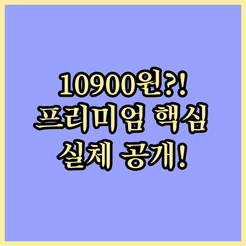 유튜브 프리미엄 구독료 혼란 해소 i..